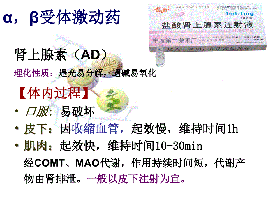 《传出神经系统药》ppt课件_第3页