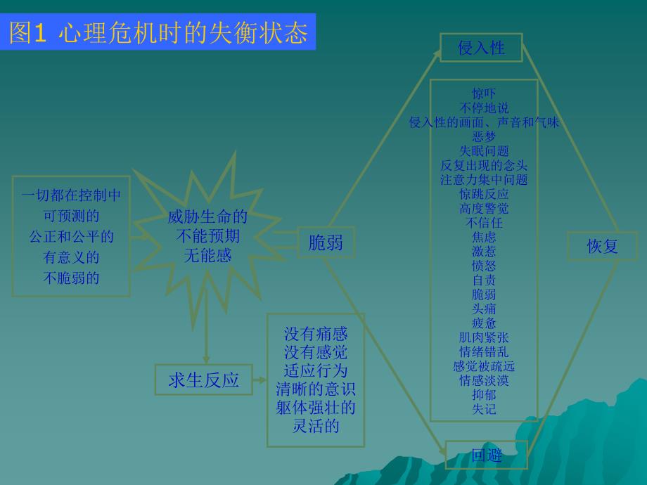 心理危机干预.ppt_第4页