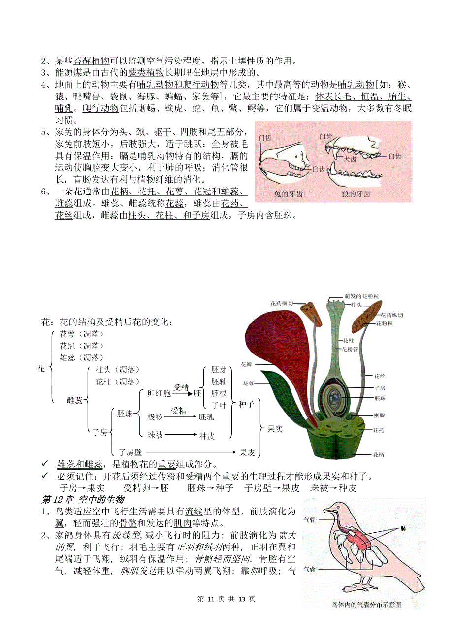 苏科版七下生物背诵手册_第4页