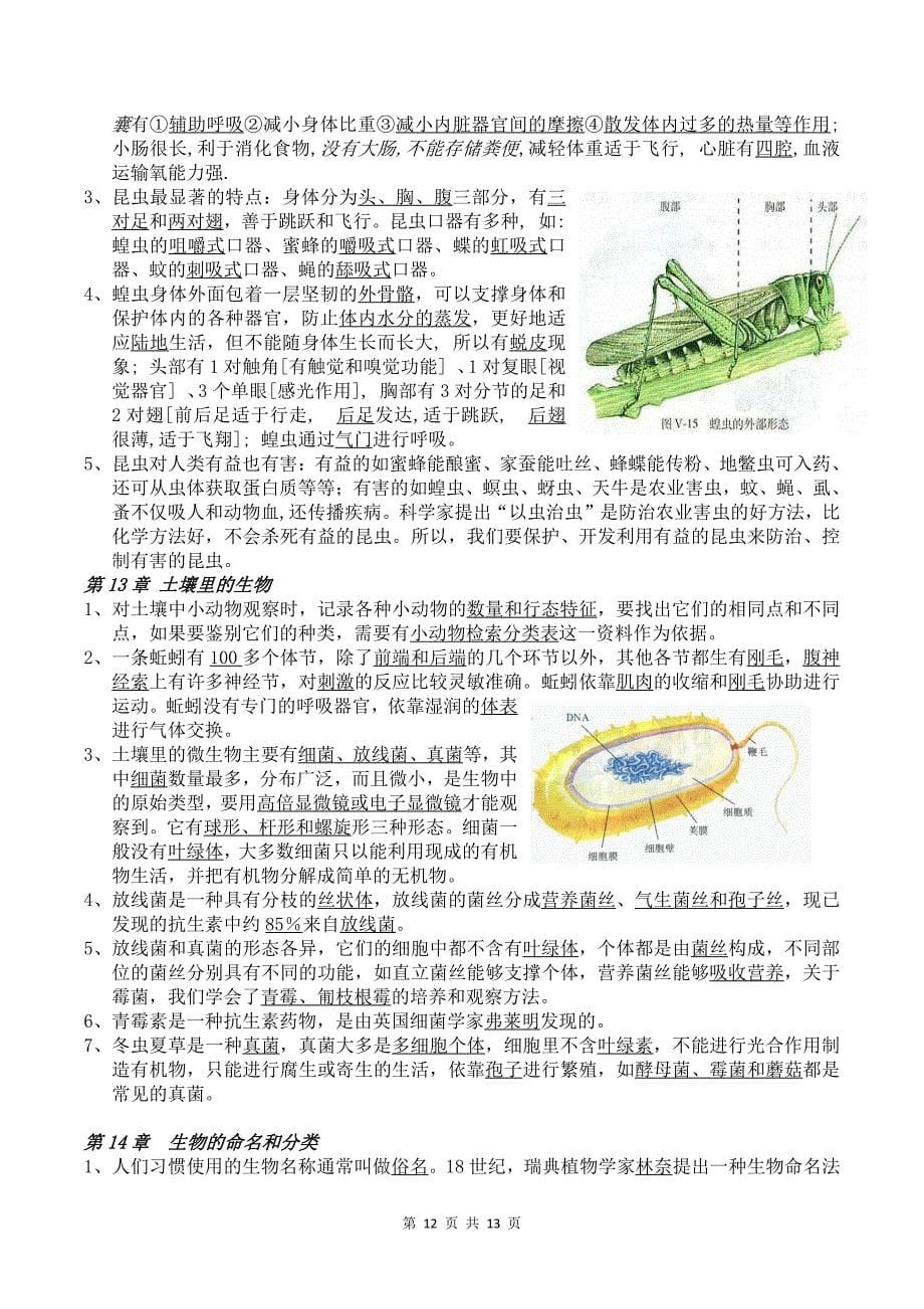 苏科版七下生物背诵手册_第5页