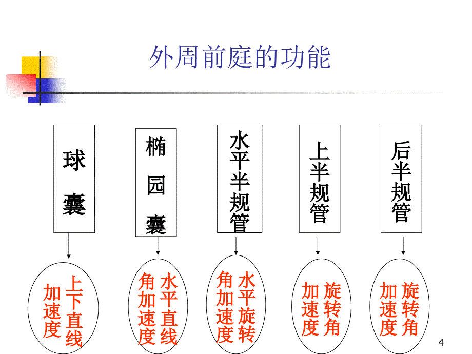 眩晕鉴别诊断课件.ppt_第4页