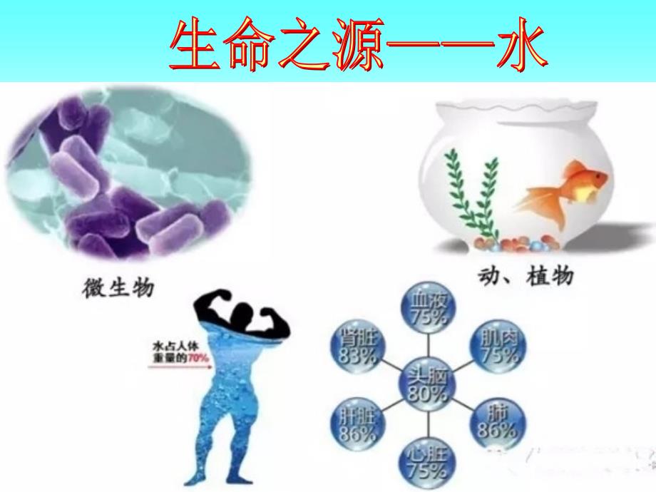 透析用水和透析液的微生物控制.ppt_第3页