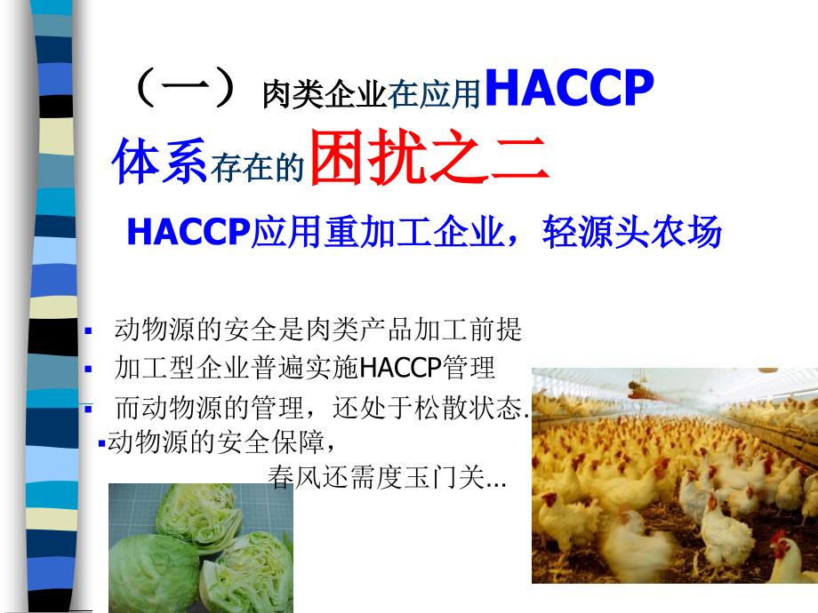 haccp体系在企业中的应用基础及执行实效_第4页