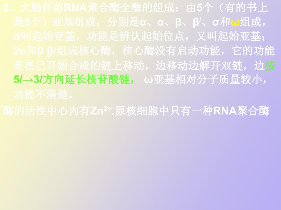 rna的生物合成与加工_第4页